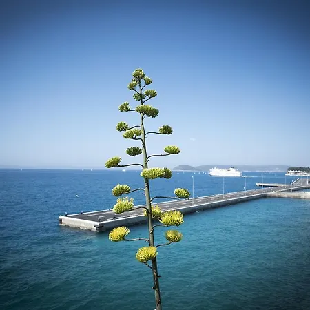 Dragica Διαμέρισμα Σπλιτ